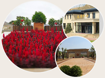 便利的交通方便快捷 便利的交通方便快捷